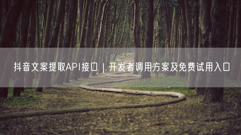 抖音文案提取API接口｜开发者调用方案及免费试用入口