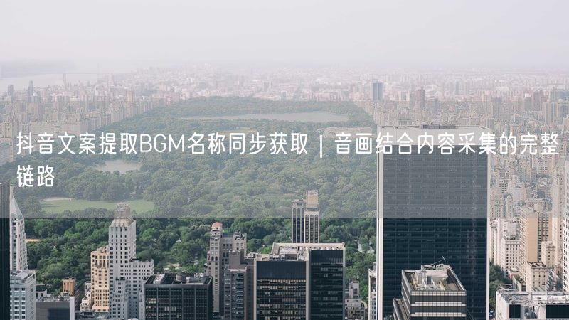 抖音文案提取BGM名称同步获取｜音画结合内容采集的完整链路