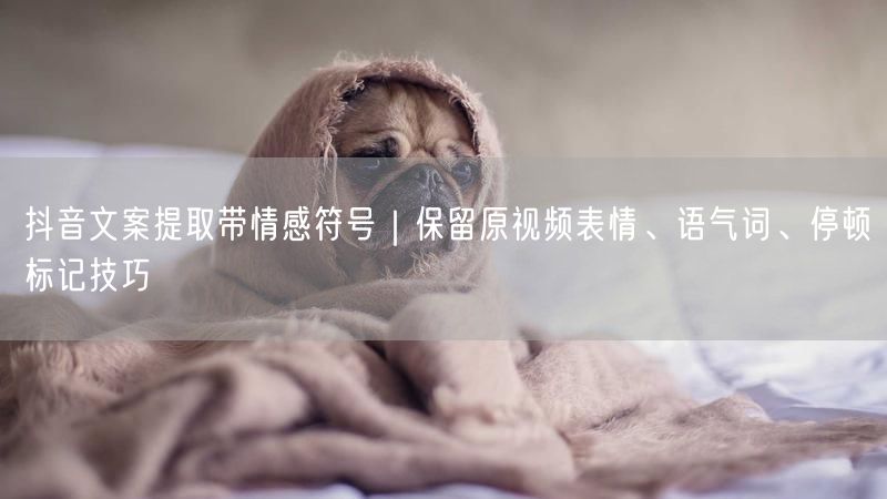 抖音文案提取带情感符号｜保留原视频表情、语气词、停顿标记技巧
