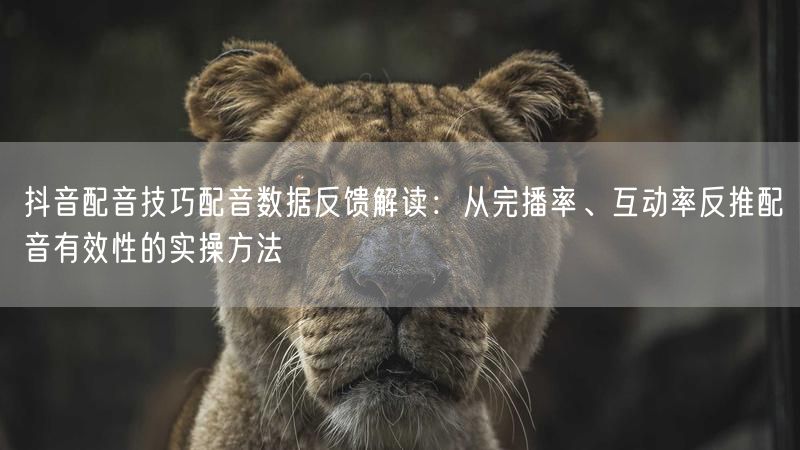 抖音配音技巧配音数据反馈解读：从完播率、互动率反推配音有效性的实操方法