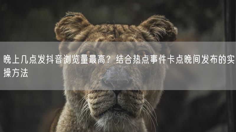 晚上几点发抖音浏览量最高？结合热点事件卡点晚间发布的实操方法