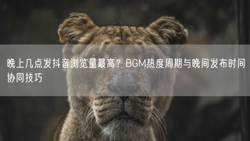 晚上几点发抖音浏览量最高？BGM热度周期与晚间发布时间协同技巧