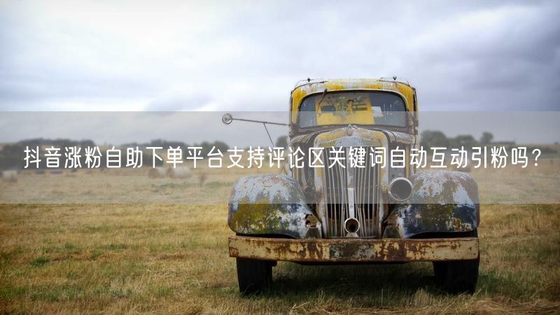 抖音涨粉自助下单平台支持评论区关键词自动互动引粉吗？