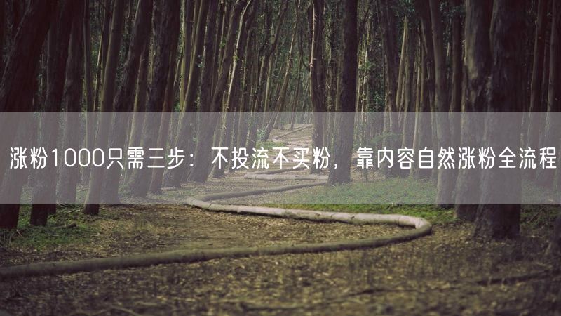 涨粉1000只需三步：不投流不买粉，靠内容自然涨粉全流程