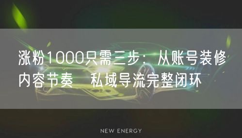涨粉1000只需三步：从账号装修→内容节奏→私域导流完整闭环
