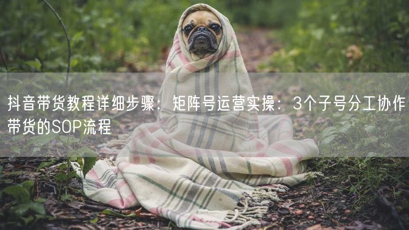 抖音带货教程详细步骤：矩阵号运营实操：3个子号分工协作带货的SOP流程