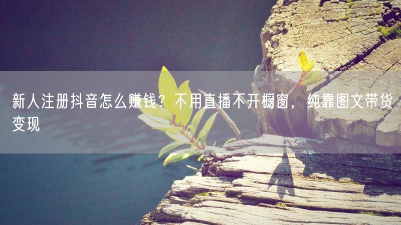 新人注册抖音怎么赚钱？不用直播不开橱窗，纯靠图文带货变现