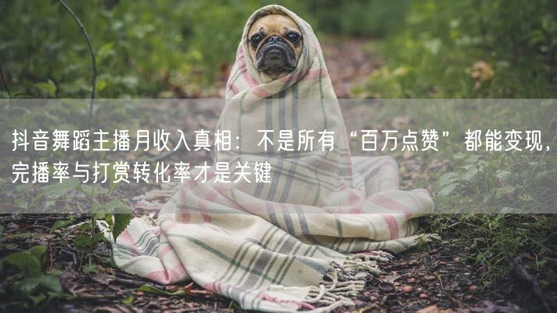 抖音舞蹈主播月收入真相：不是所有“百万点赞”都能变现，完播率与打赏转化率才是关键